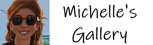 michelle gallery